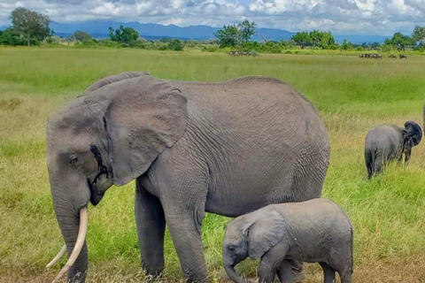 From Zanzibar: Selous Game Reserve Day Safari with Lunch