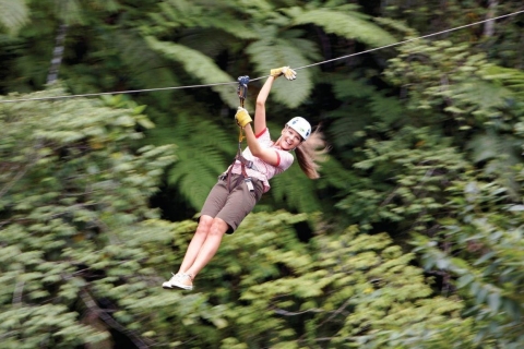 Treetops Zipline with Natadola Beach Tour & Lunch included