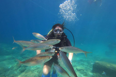 Alanya: Cleopatra Beach Sunset Scuba Diving Experience