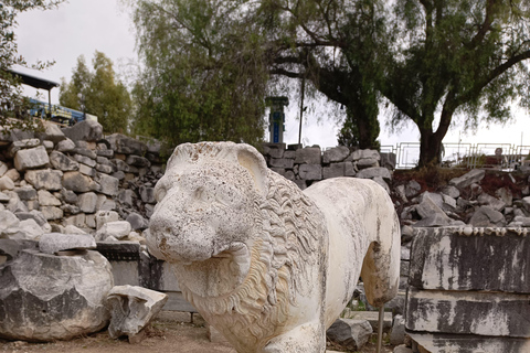 Au départ de Kusadasi : Priène, Milet et Didyma visite privée