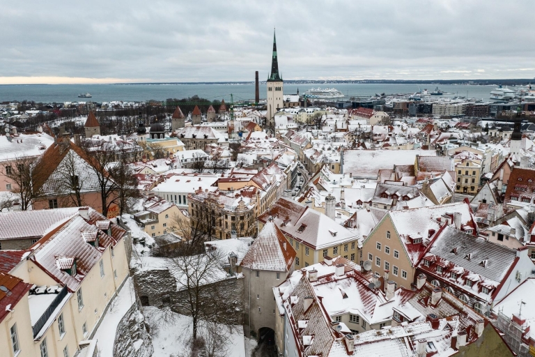 Winterfietstocht door Tallinn met koffiestopWinterfietstocht door Tallinn met caféstop en marktbezoek