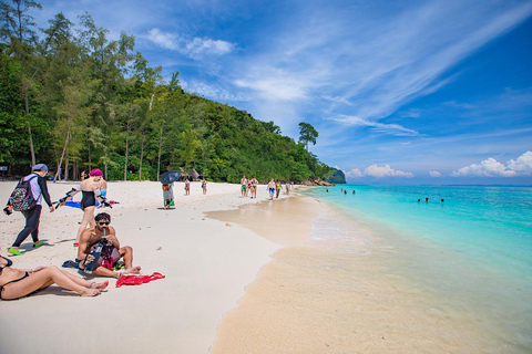 Phi Phi: 4Hrs Bamboo &amp; Phi Phi Tour By Private Longtail Boat11-15 Person