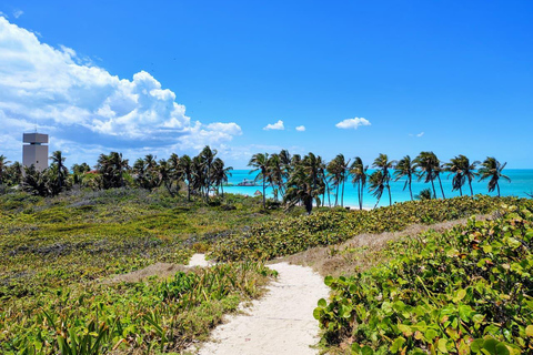 Isla Contoy Tour from Isla Mujeres and Cancun Isla Contoy Tour from Isla Mujeres