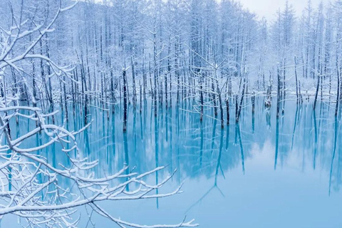 Sapporo:Asahiyama Zoo,Shirahige Waterfall&Blue Pond Day Trip 8:00 am meet at Odori Park subway station exit 31