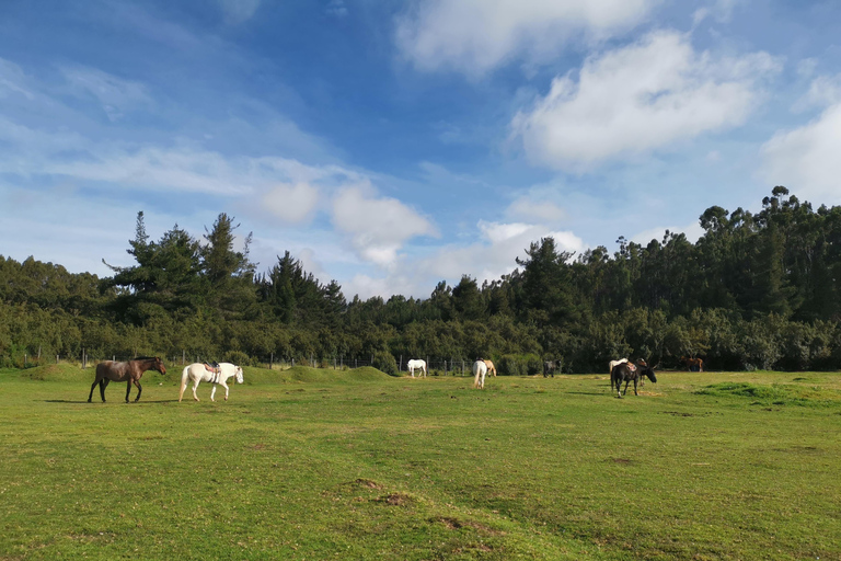 Cusco: Horseback Riding Tour to Inca Temples and Viewpoints
