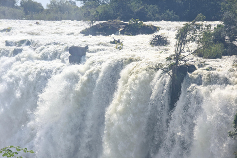 Livingstone: Victoria Falls Cross-Border Experience