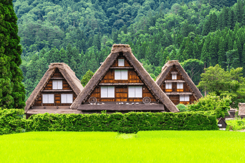 Shirakawago och Takayama 1 dagstur med buss från Nagoya