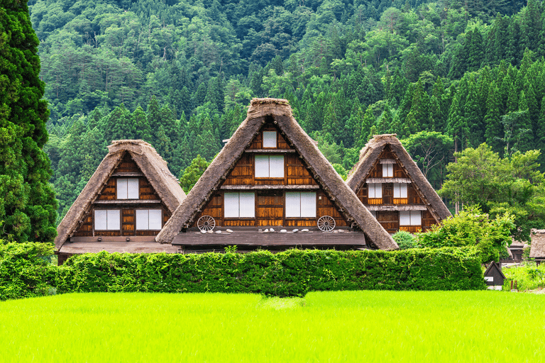 Visite en bus d&#039;une journée de Shirakawago et Takayama au départ de Nagoya