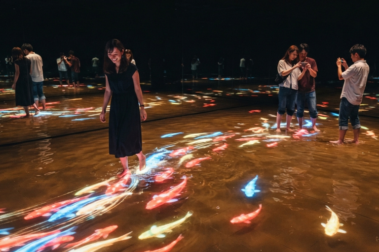 Tokyo: Private Tour: TeamLab, Pokémon & Skytree Customized B itinerary full day customizable Tokyo sightseeing.