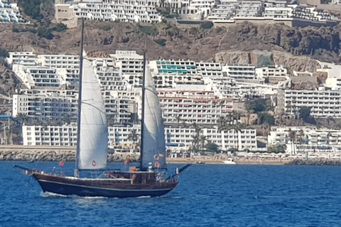 Puerto rico , Gran canaria; Lyxig båtkryssning endast för vuxna