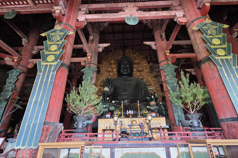 Osaka/Kyoto: Private Nara Day Trip with Guide and Luxury Van