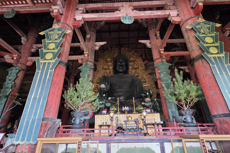 Osaka/Kyoto: Private Nara Day Trip with Guide and Luxury Van