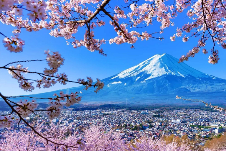 Tokyo: Mt Fuji & Arakurayama& Oshino Hakkai&Lake Kawaguchiko 8:00 AM | Shinjuku Station, West Exit