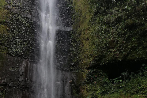 Quito: 3-Day Amazon Jungle Tour with Lodging & Meals