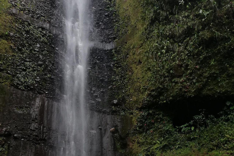 Quito: 3-Day Amazon Jungle Tour with Lodging & Meals