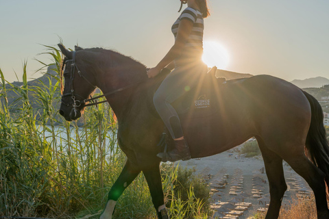 Creta a Caballo: Hipnotizante paseo al atardecerCreta a Caballo: Hipnotizante viaje al atardecer