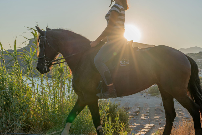 Creta a Caballo: Hipnotizante paseo al atardecerCreta a Caballo: Hipnotizante viaje al atardecer