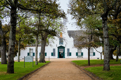 Botanische tuin Kirstenbosch en Constantia Wijnvallei