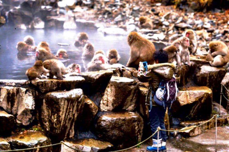 From Tokyo: Nagano Full Day Private Snow Monkey Park Tour