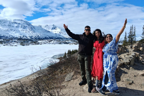Skagway: Yukon Suspension Bridge & White Pass Scenic Tour