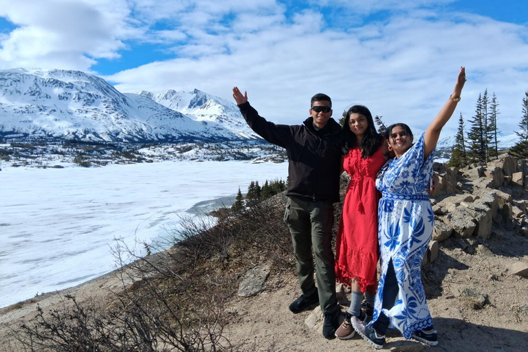 Skagway: Yukon Suspension Bridge & White Pass Scenic Tour