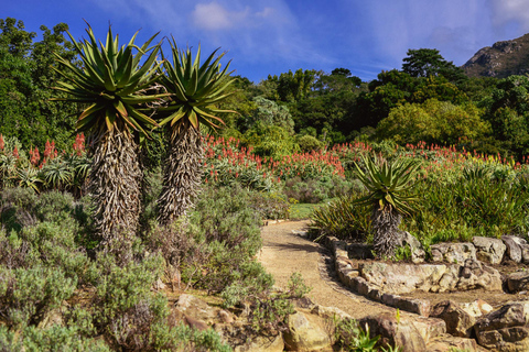 Jardin botanique de Kirstenbosch et vallée viticole de Constantia