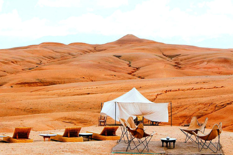 Von Marrakech aus: Abendessen in der Wüste von Agafay bei Sonnenuntergang mit Kamelritt