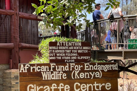 Nairobi: Giraffe Center And Karen Blixen Tour Giraffe Centre, Elephant Orphanage And Karen Blixen