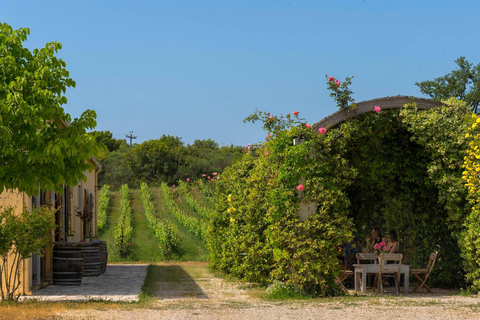 Corfu: Music Stories of a Corfiot at the VineyardCorfu: Live Greek Music and Stories at the Vineyard