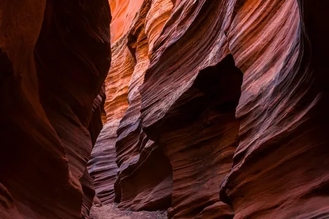 Pagina: Tour guidato a piedi del Mountain Sheep Slot Canyon