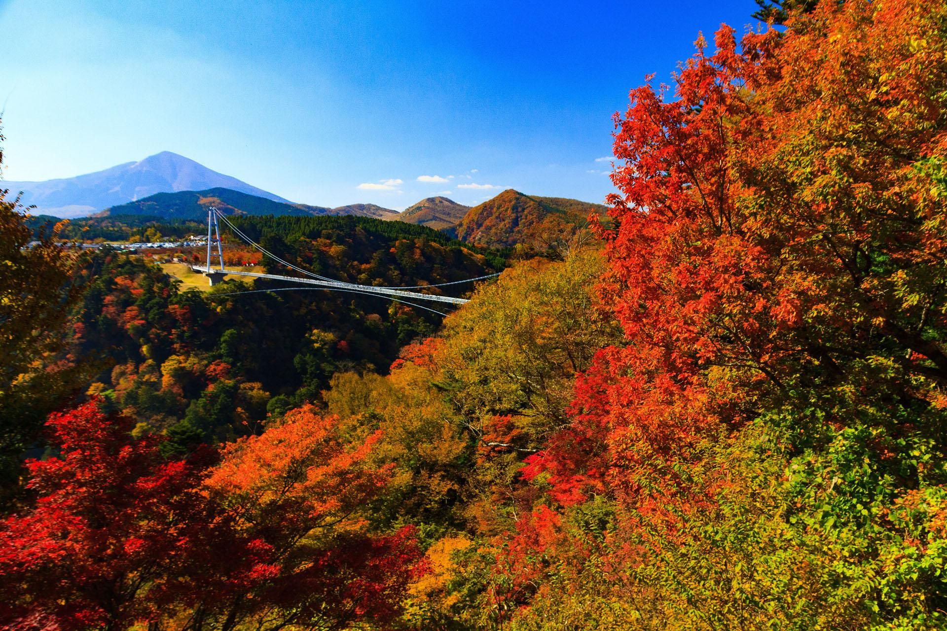 8-tägige ONE WAY Bustour nach Fukuoka ab Osaka über SHIKOKU