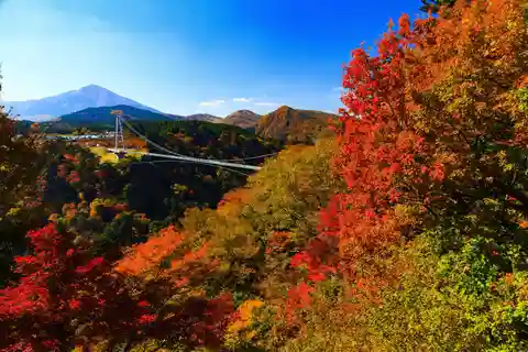 8-Day ONE WAY Bus Tour to Fukuoka from Osaka via SHIKOKU