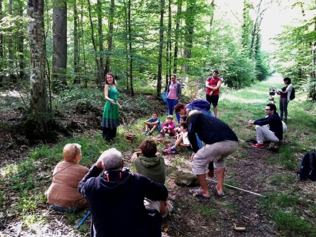 Visit Champagne Guided Nature Walk & Storytelling Experience in Troyes