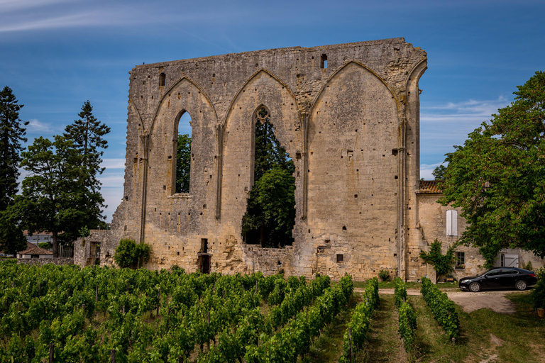 Saint Emilion Excursão de meio dia de Ebike e vinho com piquenique