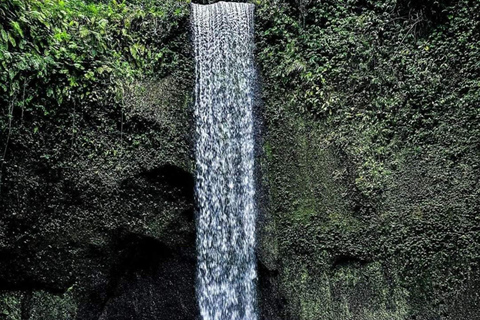 Bali : Best of 3 Ubud Hidden Waterfall Option All inclusive selected