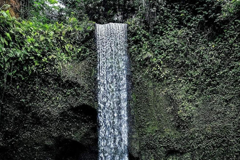 Bali : Best of 3 Ubud Hidden Waterfall Option All inclusive selected