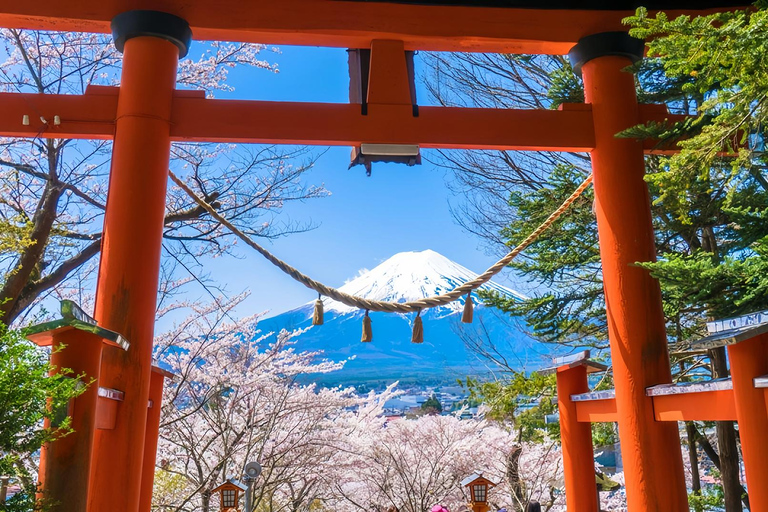 Mount Fuji Day Tour: Instagrammable Spots + Scenic Train From Tokyo (Including ropeway and cruise)