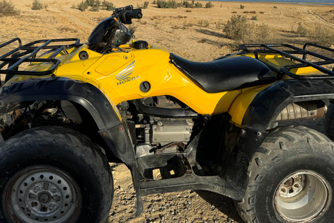 Fayoum: Qarun Sahara Safari With( ATV ) Quad bike From Cairo Private 4 Hours Quad Included Tickets