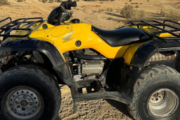 Fayoum: Qarun Sahara Safari With( ATV ) Quad bike From Cairo Private 4 Hours Quad Included Tickets