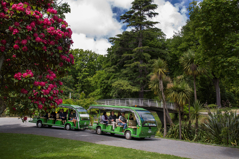 Christchurch Botanic Gardens Tour