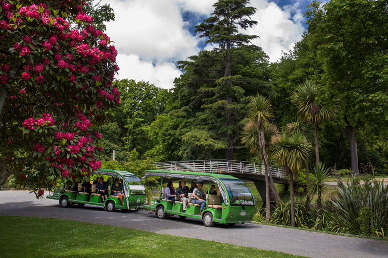 Christchurch Botanic Gardens Tour