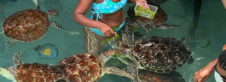 Zanzibar : l'île-prison, la forêt de Jozani et les tortues de la grotte de Salaam