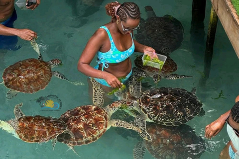 Zanzibar: Jozani Forest & Salaam Cave Sea Turtles Swim Tour Option Without Hotel Transfers