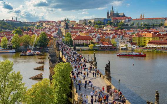 Von Wien aus: Prag, Kutná Hora, Burg Große tschechische Tagestour