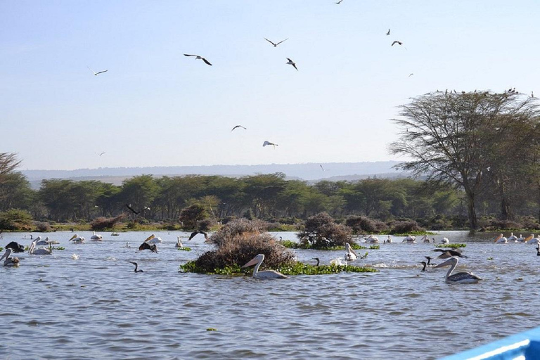 Nairobi: Hell's Gate & Lake Naivasha Day Trip with Boat Ride