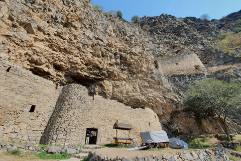 From Yerevan: Winery Tour with Wine Tasting and Dinner