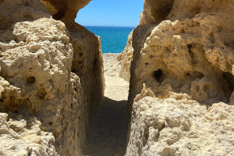 De Faro: Passeio de aventura na caverna de Benagil e muito maisDe Faro: Tour de Aventura à Gruta de Benagil