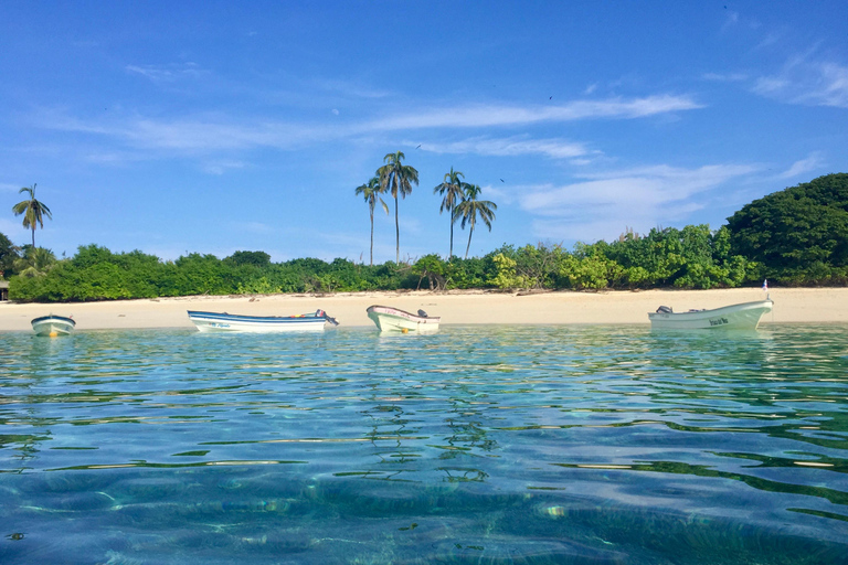 Pedasí: Full-Day Fishing Trip with Boat and Captain