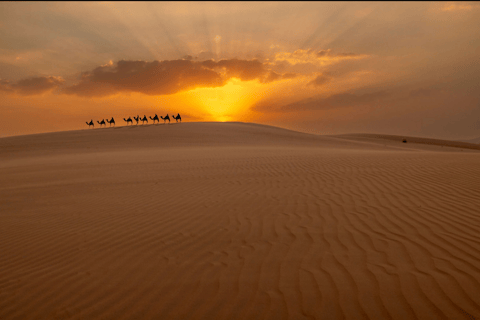 Abu Dhabi Tour Full Day - Grand Mosuqe, Louvre Museum & More Abu Dhabi Full Day Tour - Grand Mosuqe & More - German Guide