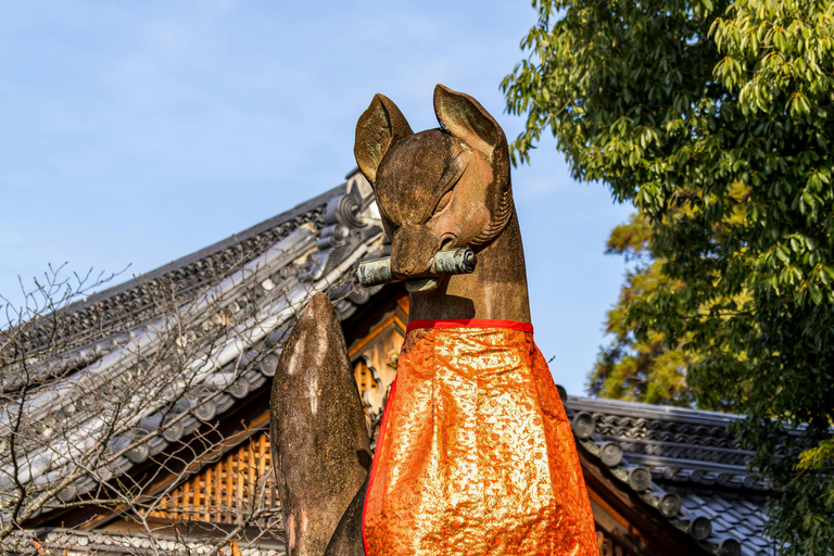 Kyoto/Osaka: Kyoto&Nara Private Customized Guided Tour